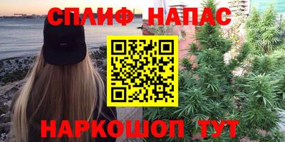 индика Ипатово