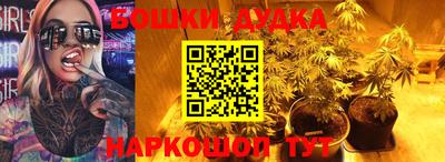 индика Ипатово