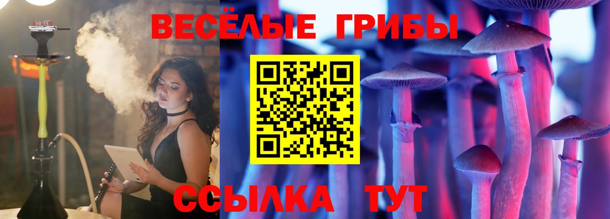 Псилоцибиновые грибы мухоморы  Псилоцибиновые грибы Psilocybine cubensis  Михайловск  Вход с VPN 
